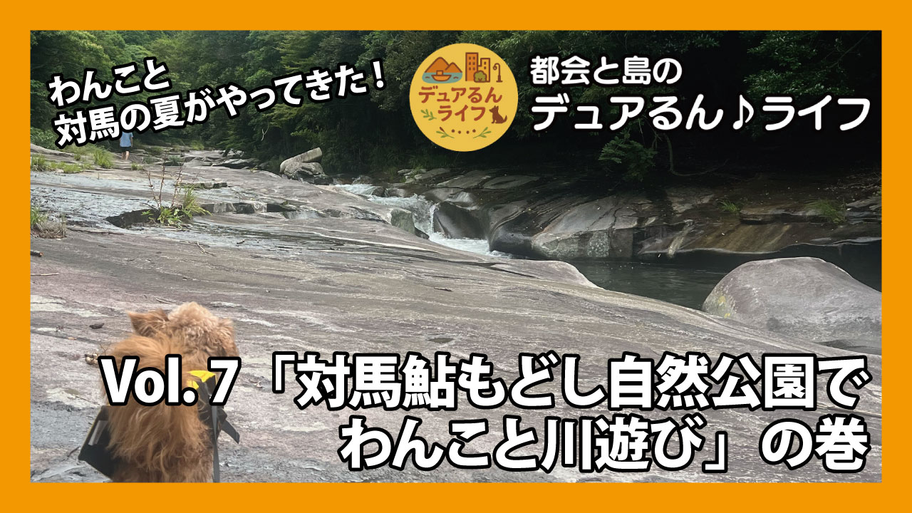 わんこと対馬鮎もどし自然公園で川遊び